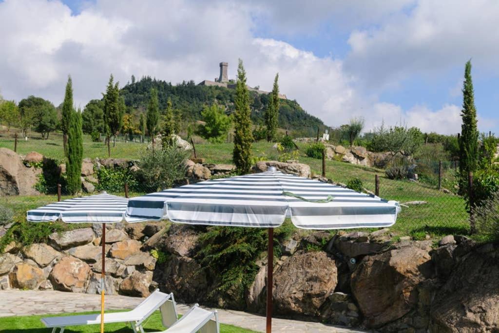 Girasole Cottage Overlooking The Orcia Valley In Tuscany 라디코파니 주 외부 사진