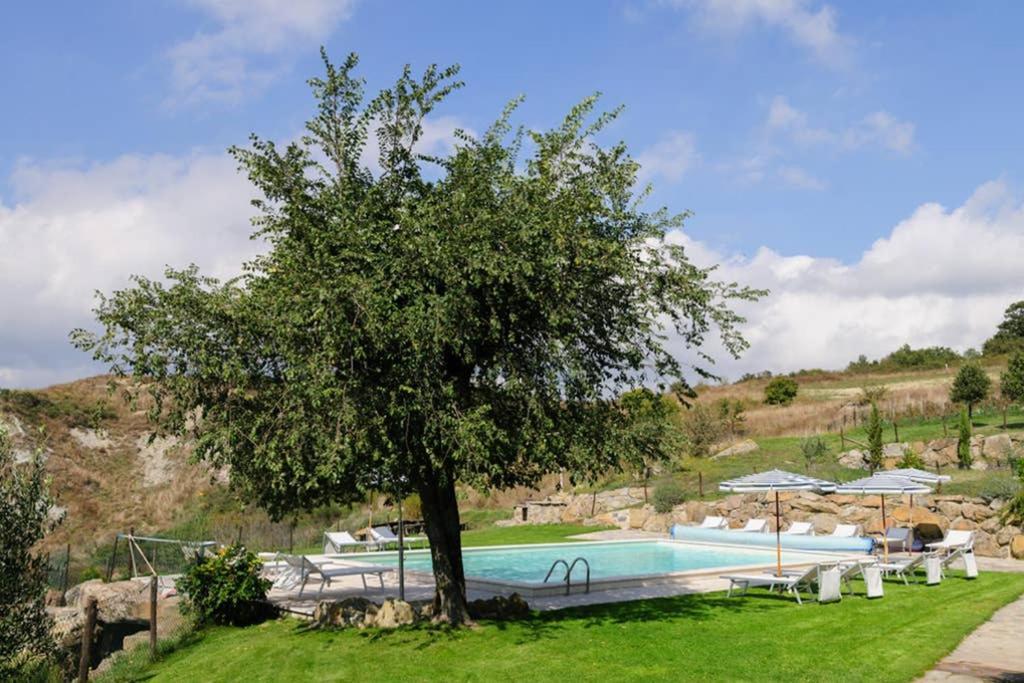 Girasole Cottage Overlooking The Orcia Valley In Tuscany 라디코파니 주 외부 사진
